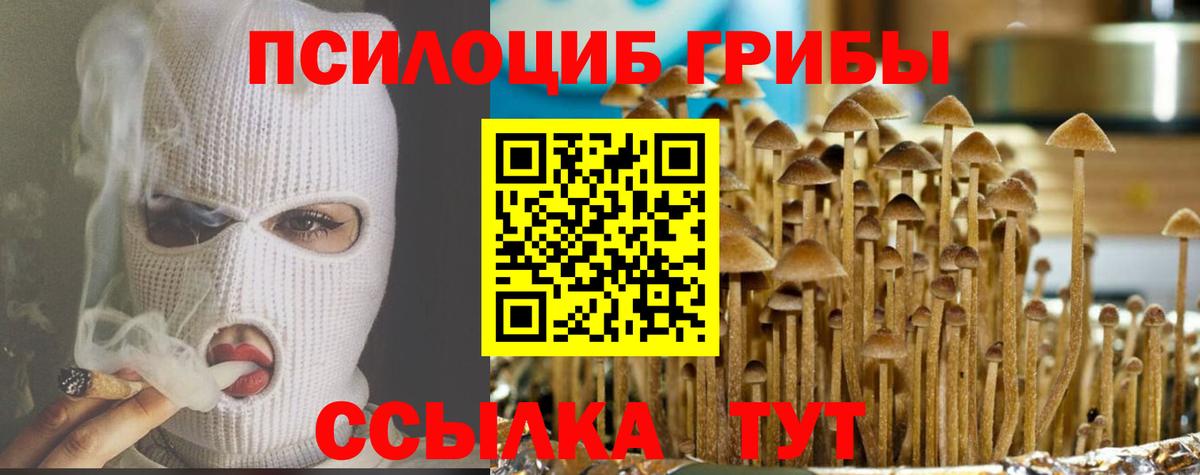 Красноармейск  купить  сайты  Вход с VPN  Псилоцибиновые грибы Psilocybine cubensis 